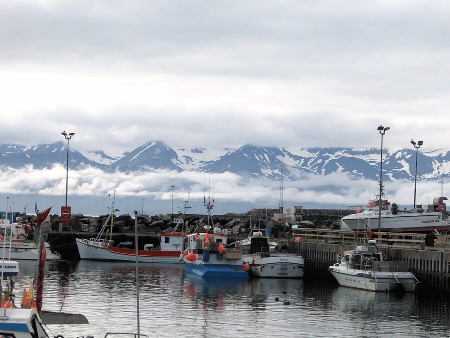 Husavik harbour with whale watching boats