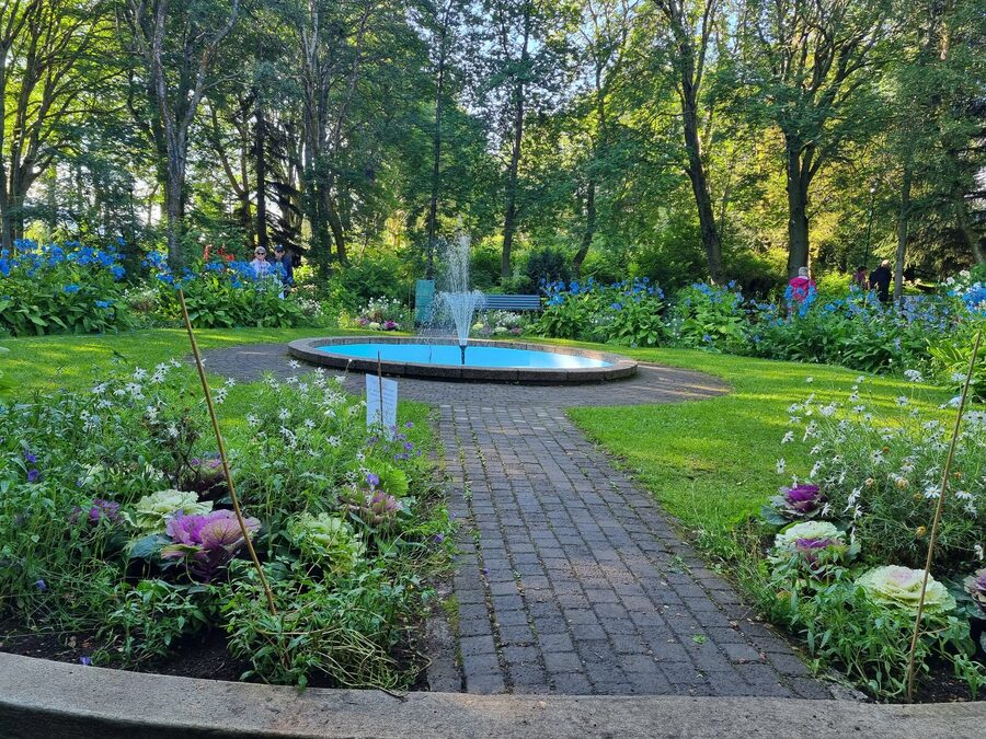 Akureyri waterfront and harbour in north Iceland