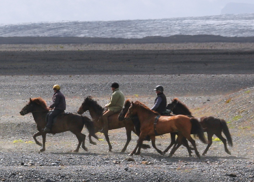 Tourists riding Icelandic horses on a tour in Iceland