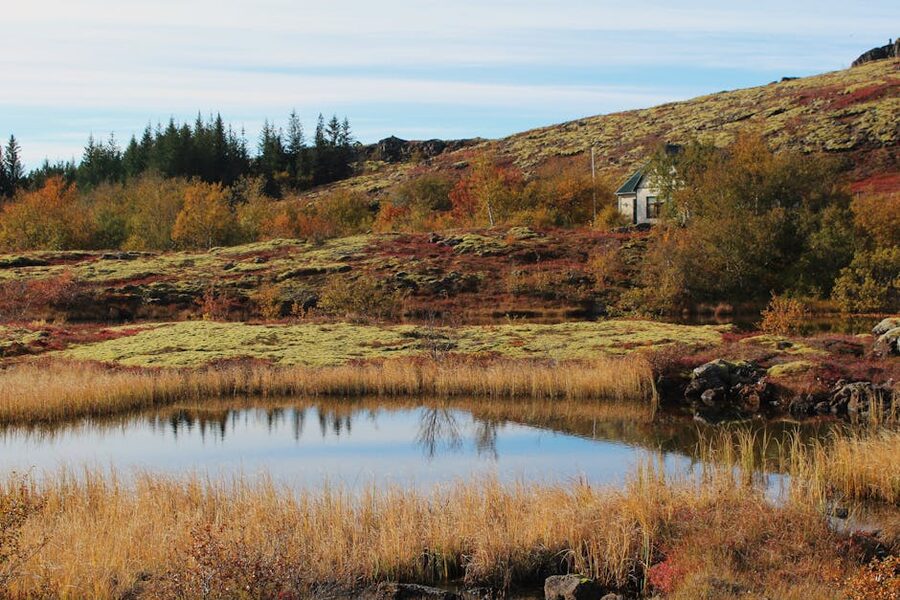 Icelandic cottage by a still pond with autumn foliage and reflections