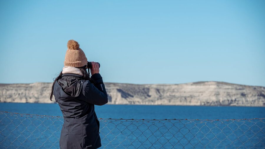 Person with binoculars on a coastal landscape