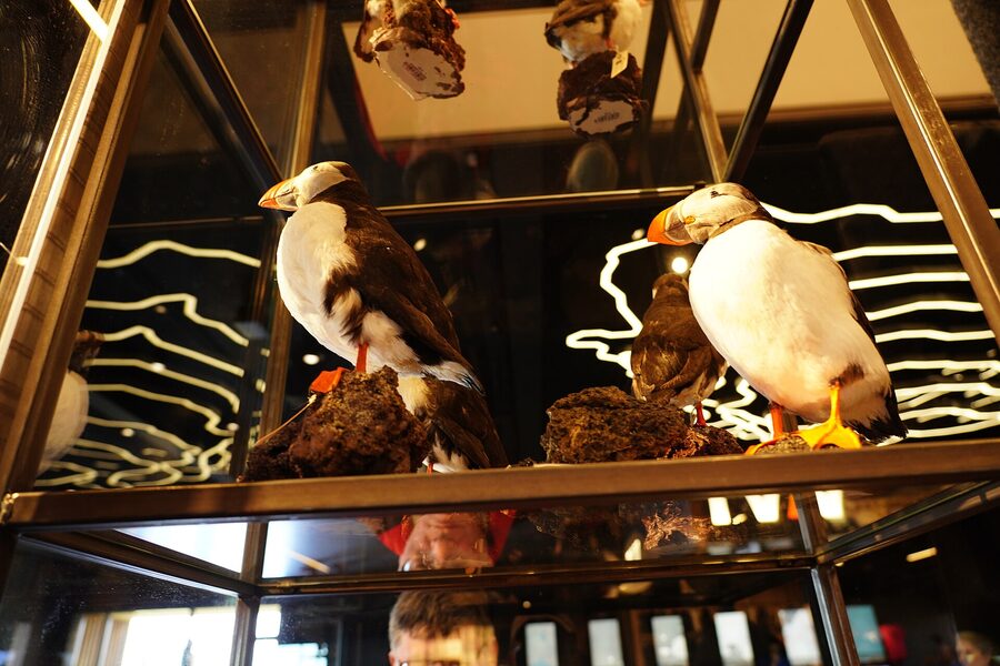 Inside the Lava Centre exhibit in Hvolsvollur