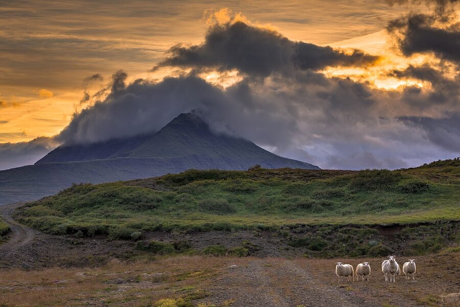 Peaceful east Iceland coastal scene