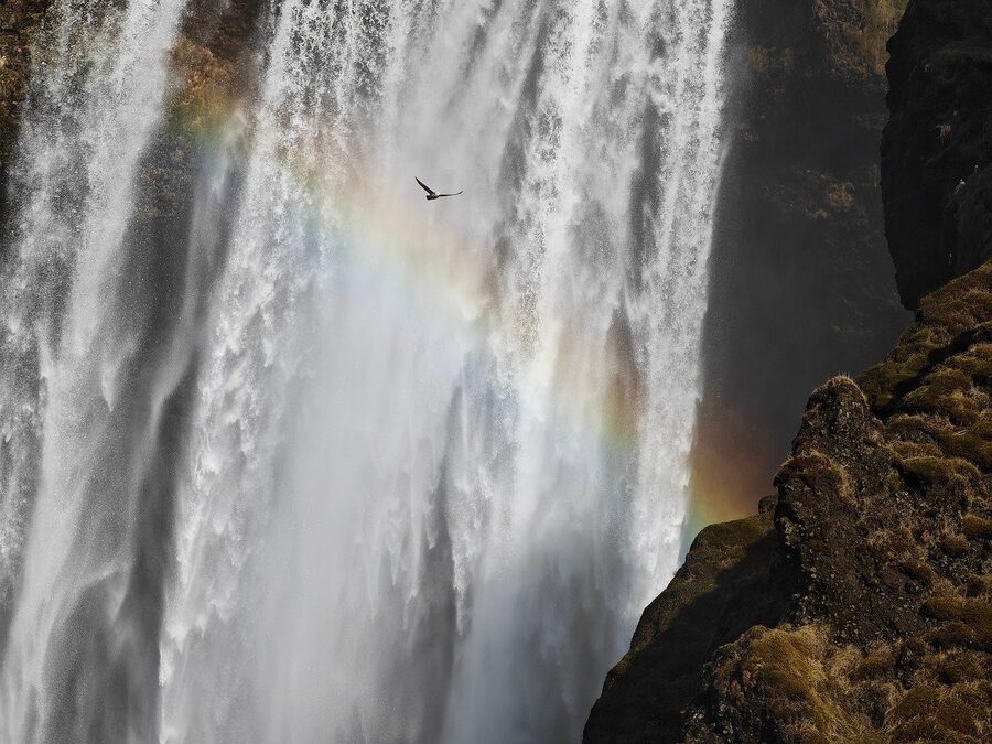 Iceland fjord with waterfall