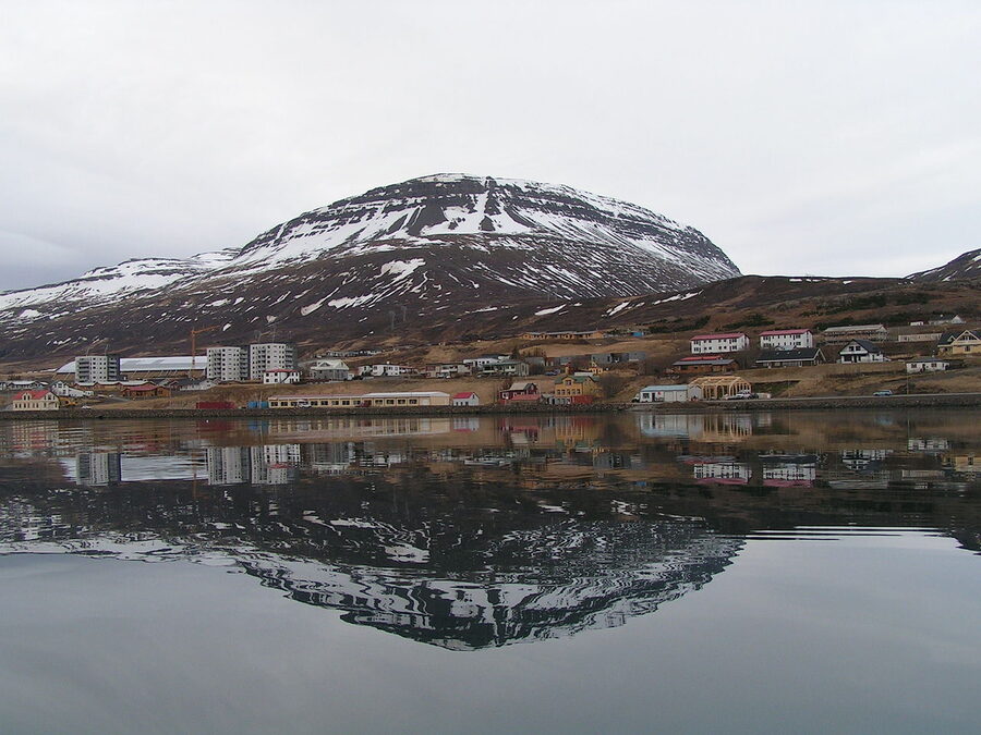 Reydarfjordur fjord and village seen from a high viewpoint