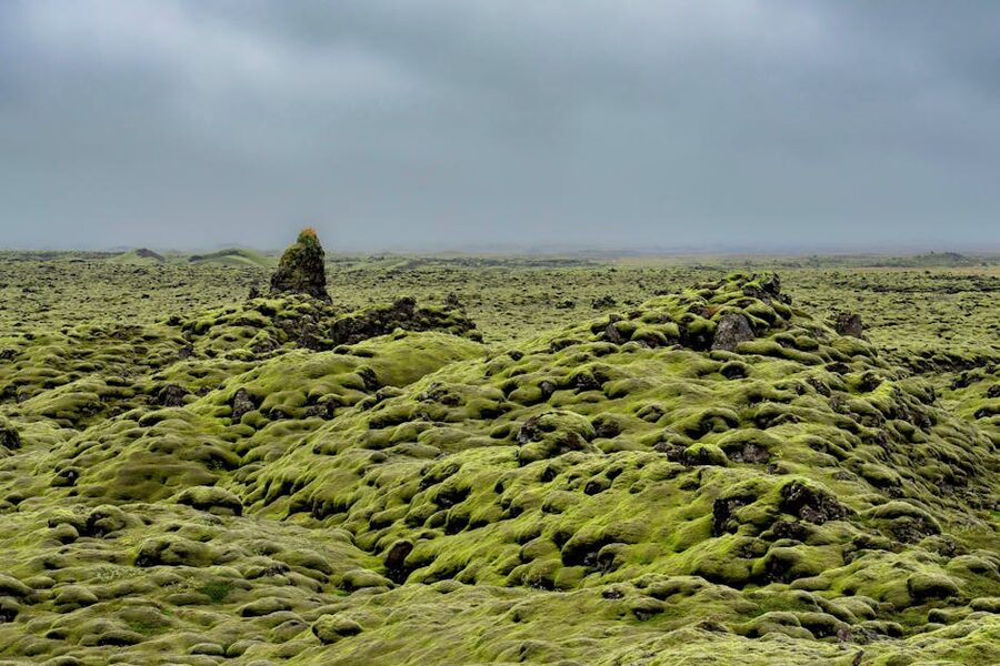 Moss covered lava fields under moody sky in Iceland