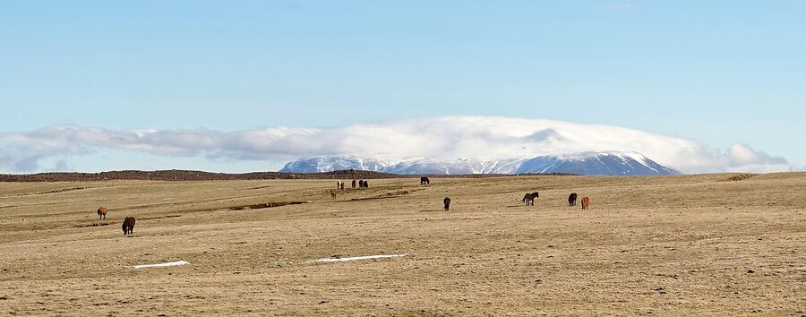 Langjökull glacier from Road 35