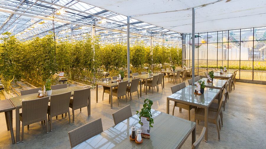 Fridheimar tomato greenhouse restaurant interior