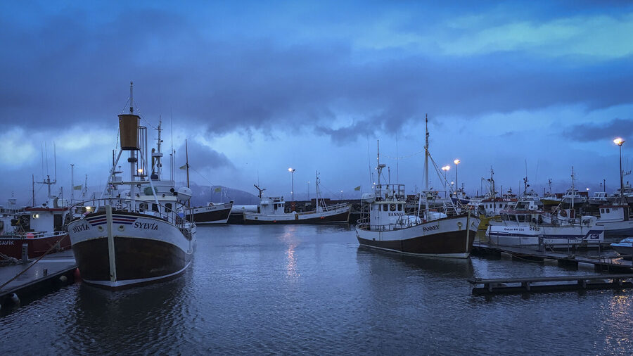 Husavik harbour and town view in evening light
