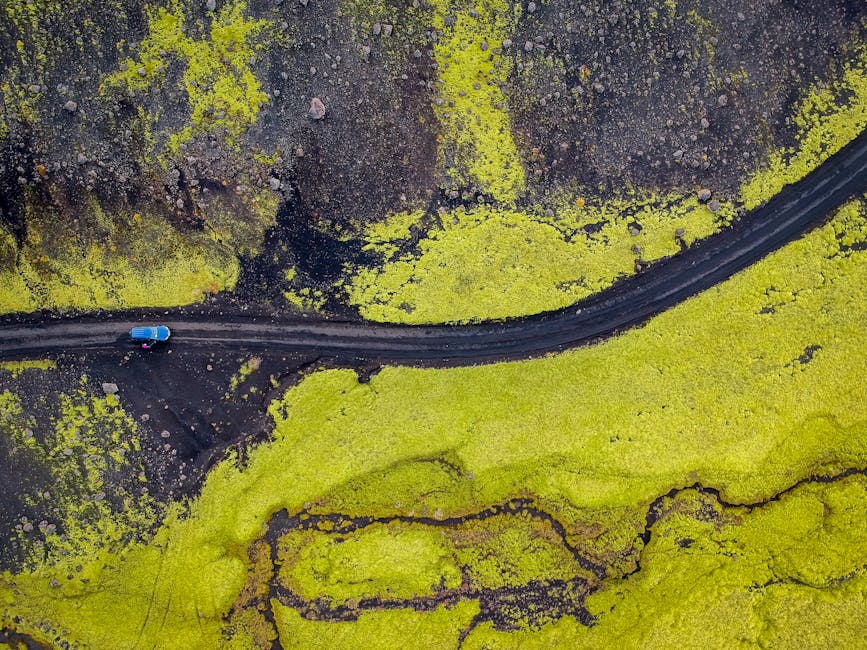 Aerial view of road through green moss in southern Iceland