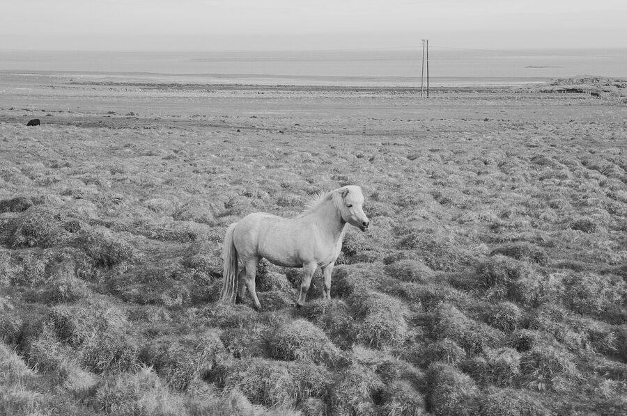 East Iceland scene Ring Road trip