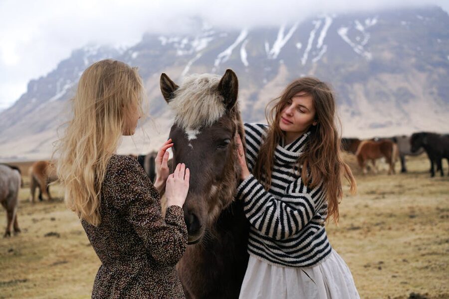 Icelandic lopapeysa wool sweater eligible for VAT refund