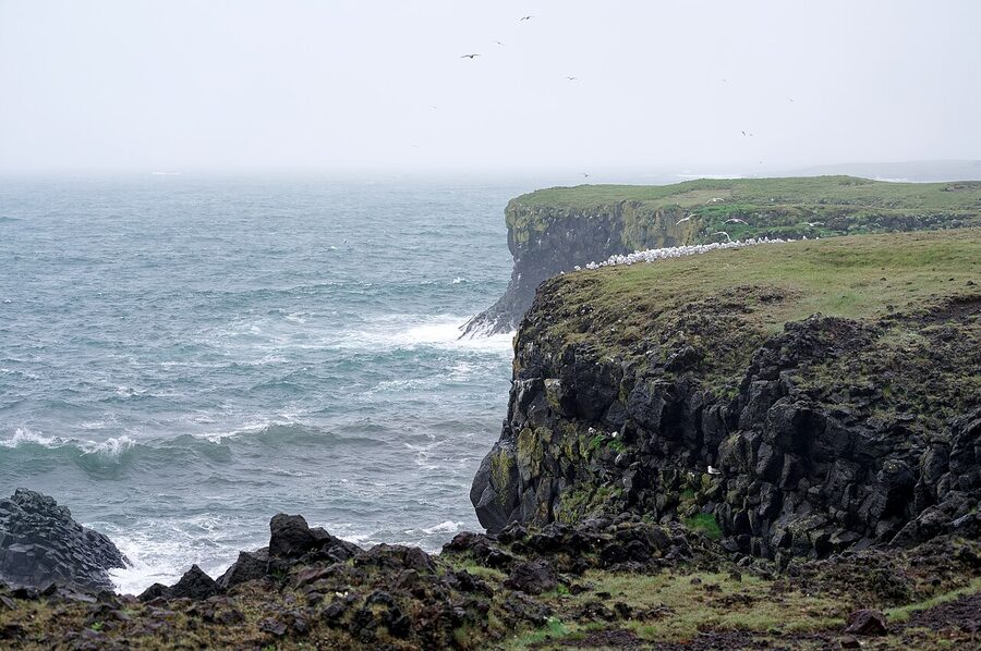 Arnarstapi sea cliffs Snaefellsnes