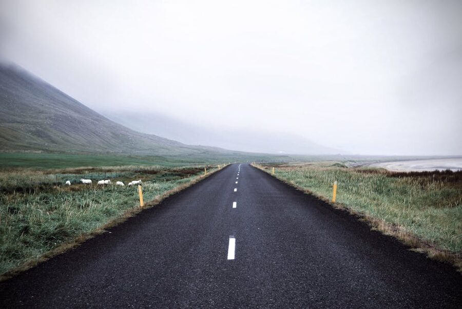Misty road in rural Iceland with lush grass and mountains