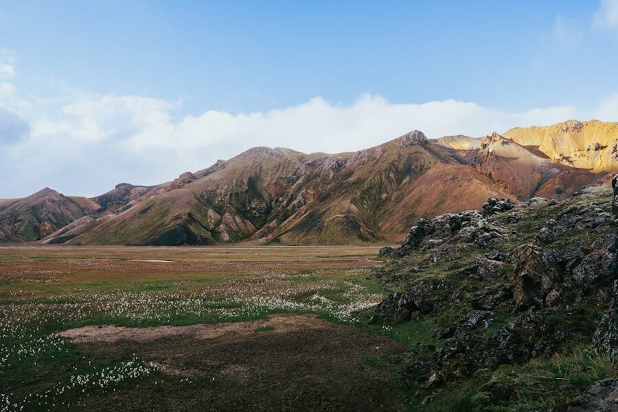 Highland landscape with moss and lava in Iceland