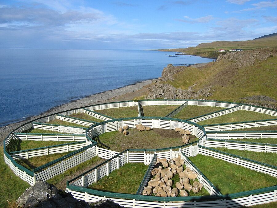 Icelandic sheep round-up Réttir gathering pen