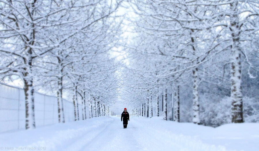 Snow-covered streets of Reykjavik in winter Iceland