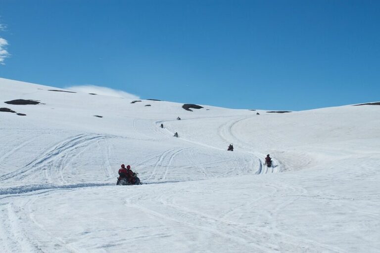 Snowmobile Tours in Iceland, From Langjökull to Vík