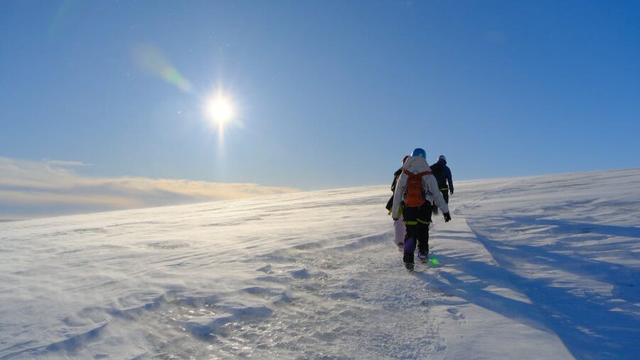 A small group walking on a snowy glacier under bright sunshine