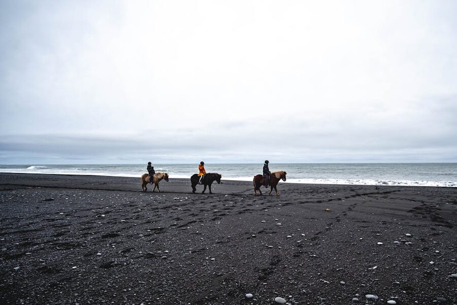 Horseback riders on a black sand beach in south Iceland