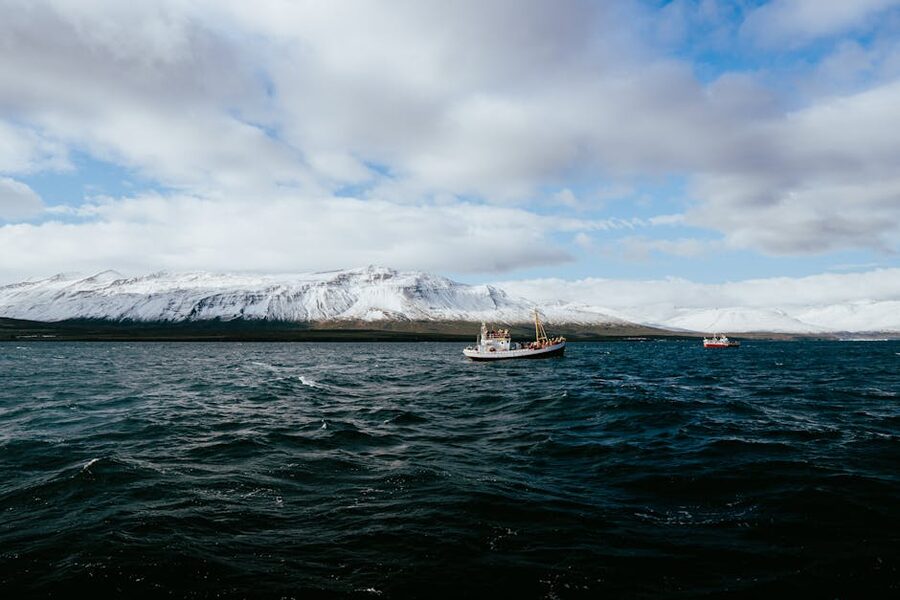 Whale watching boat in Eyjafjordur fjord Iceland with snow-capped mountains