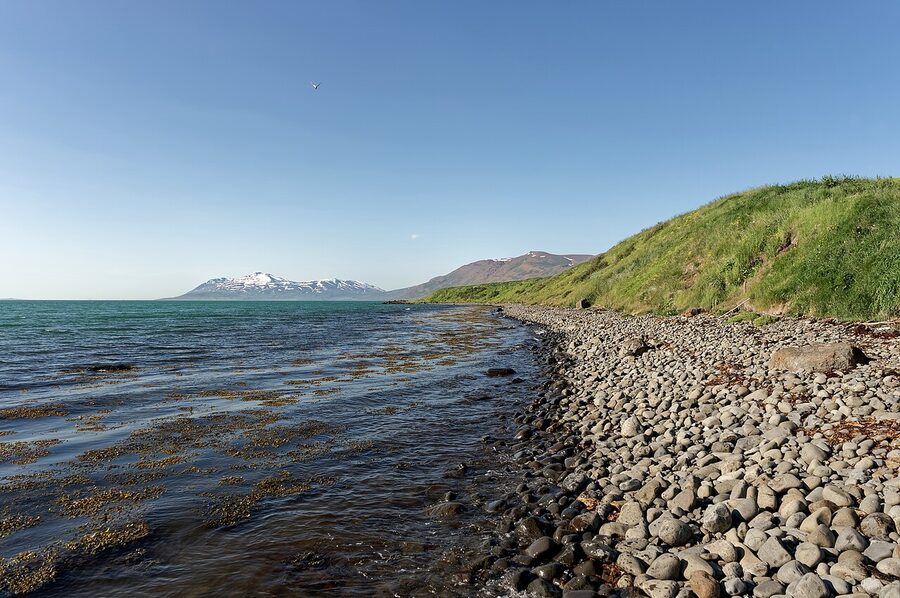 Eyjafjordur fjord in Iceland in summer with green mountains