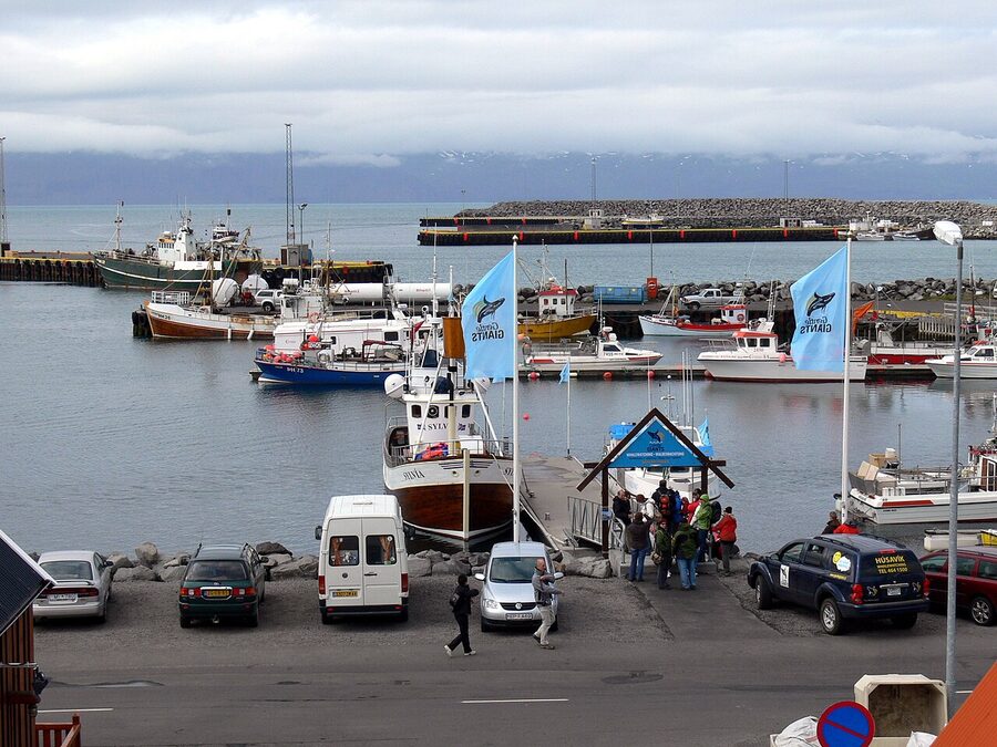 Husavik whale watching boat berths with operator boats lined up