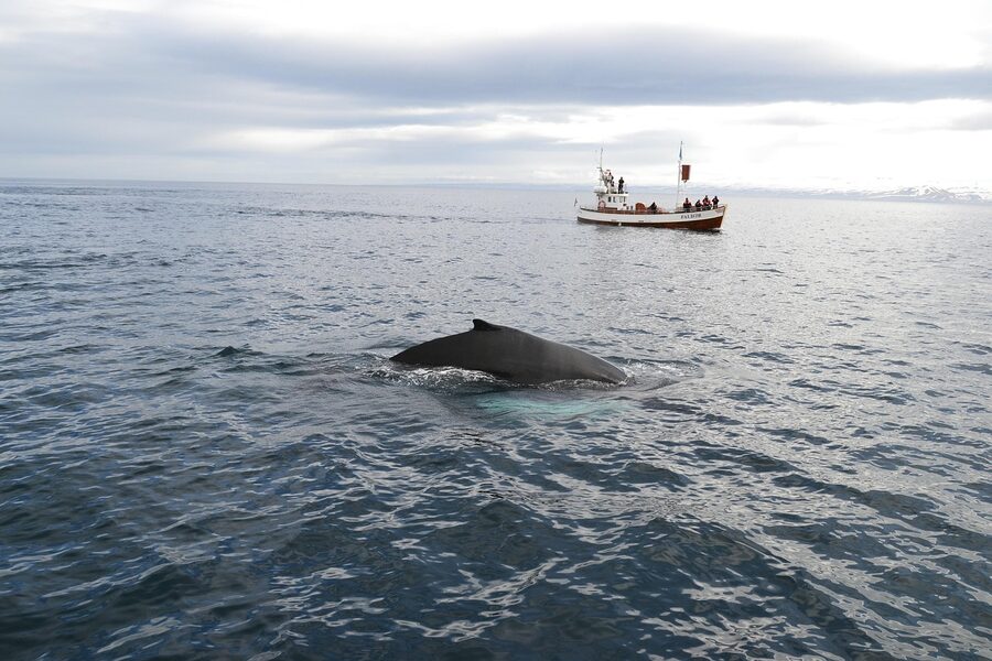 Warm clothing layers laid out for an Iceland whale watching tour