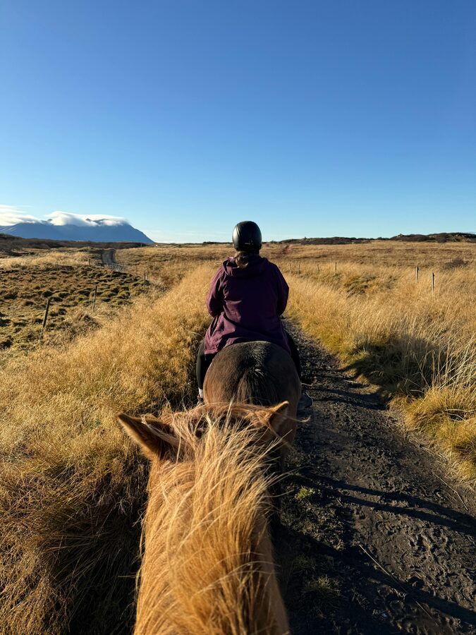 Riders on Icelandic horses crossing a green coastal valley