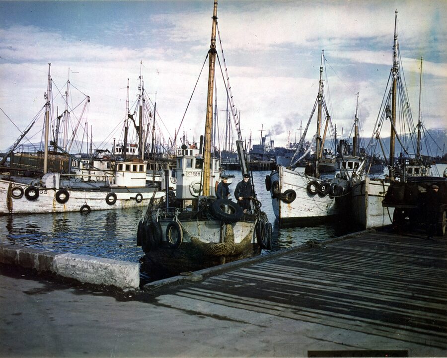 An Icelandic trawler coming into dock at Reykjavik in 1943
