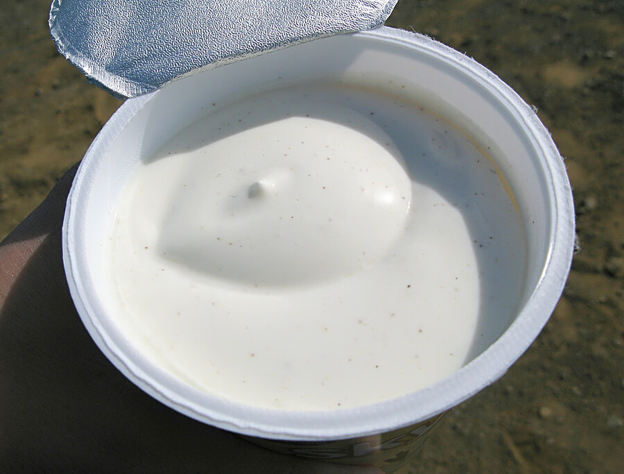 Vanilla skyr in a container showing the thick creamy texture