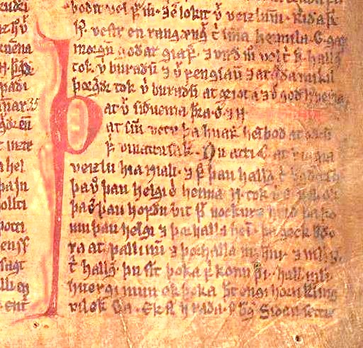 Folio from the medieval Möðruvallabók saga manuscript