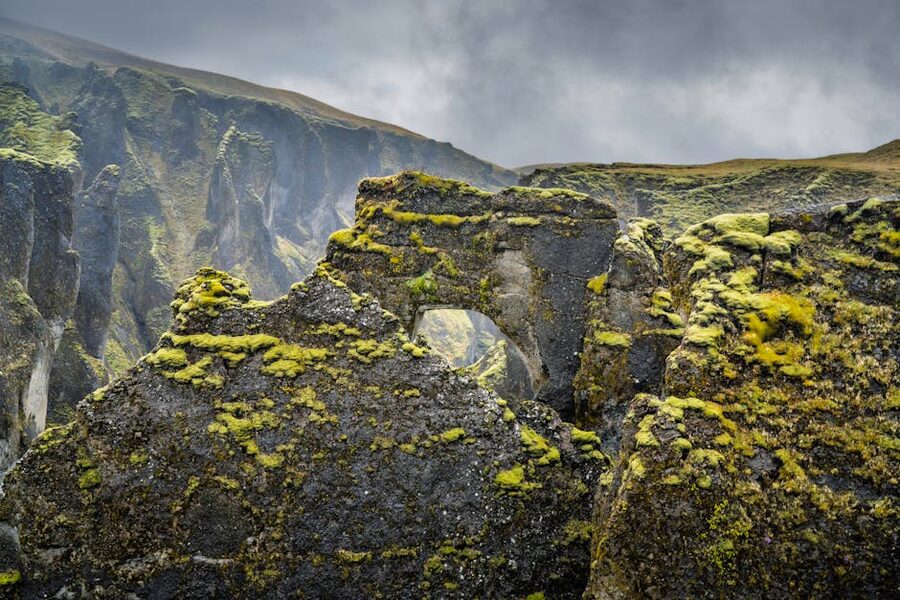 Moss-covered lava formations near Mývatn, north Iceland