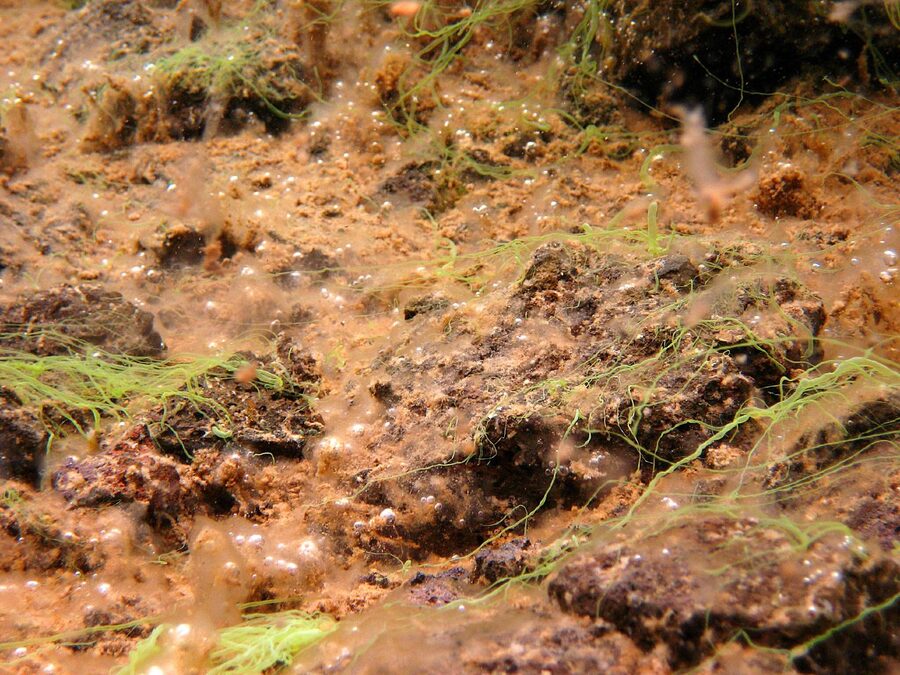 A diver descending into the Silfra fissure