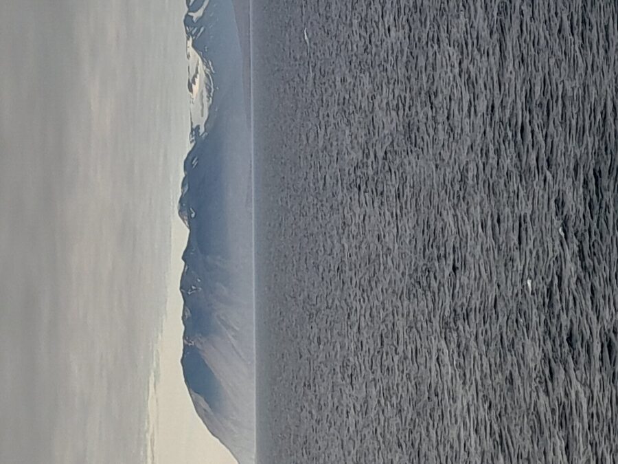 Skjalfandi Bay in summer, calm sea ideal for whale watching