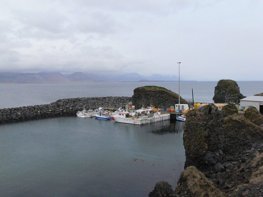 Sea cliffs at Arnarstapi with seabird colony on Snaefellsnes