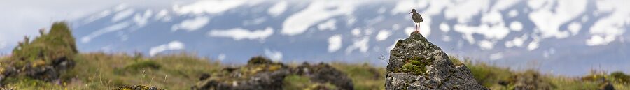 Wide panorama of Snaefellsjokull National Park on the western tip of Snaefellsnes