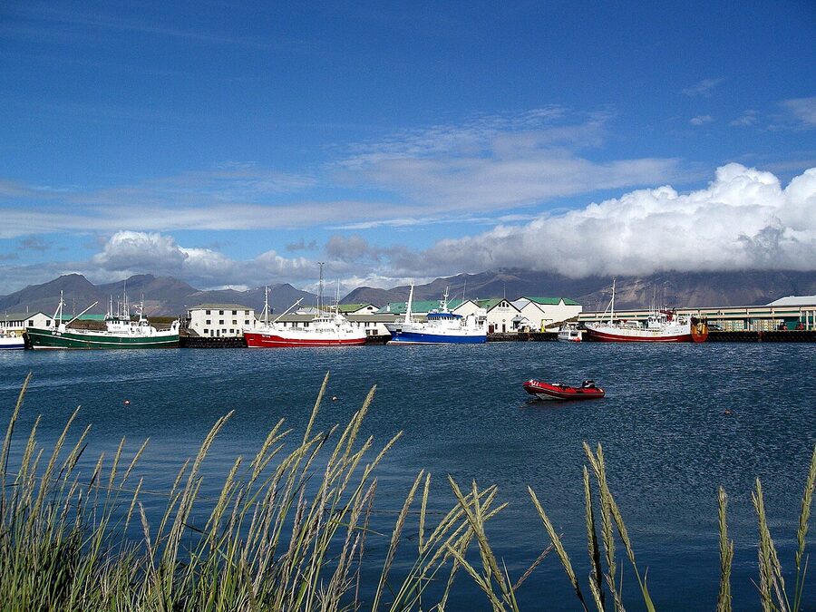 Höfn harbour and fishing boats, eastern Iceland