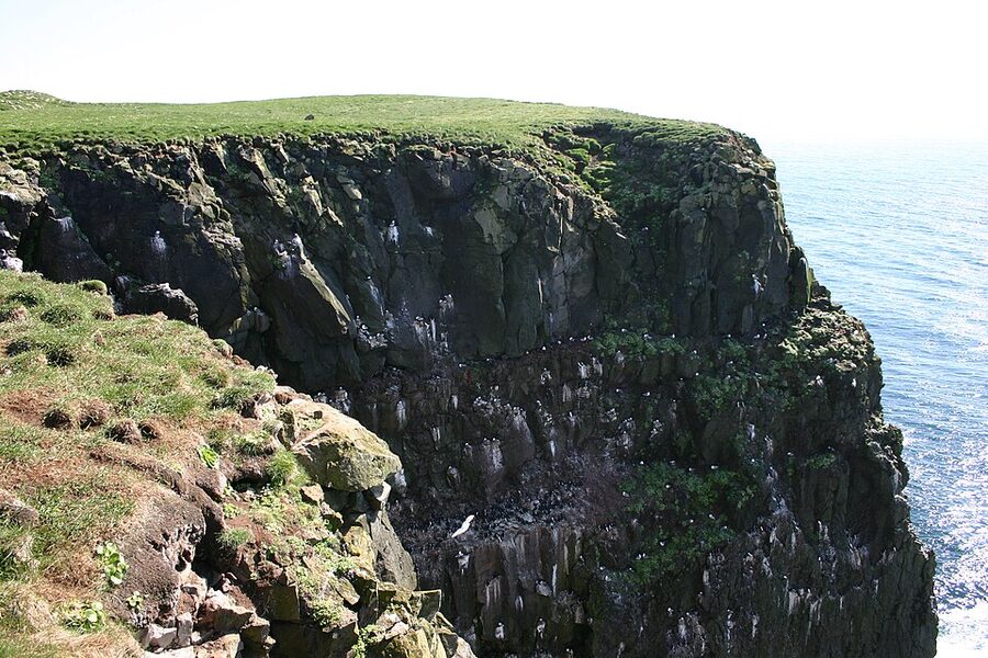 Latrabjarg sea cliffs westernmost point of Europe Westfjords Iceland