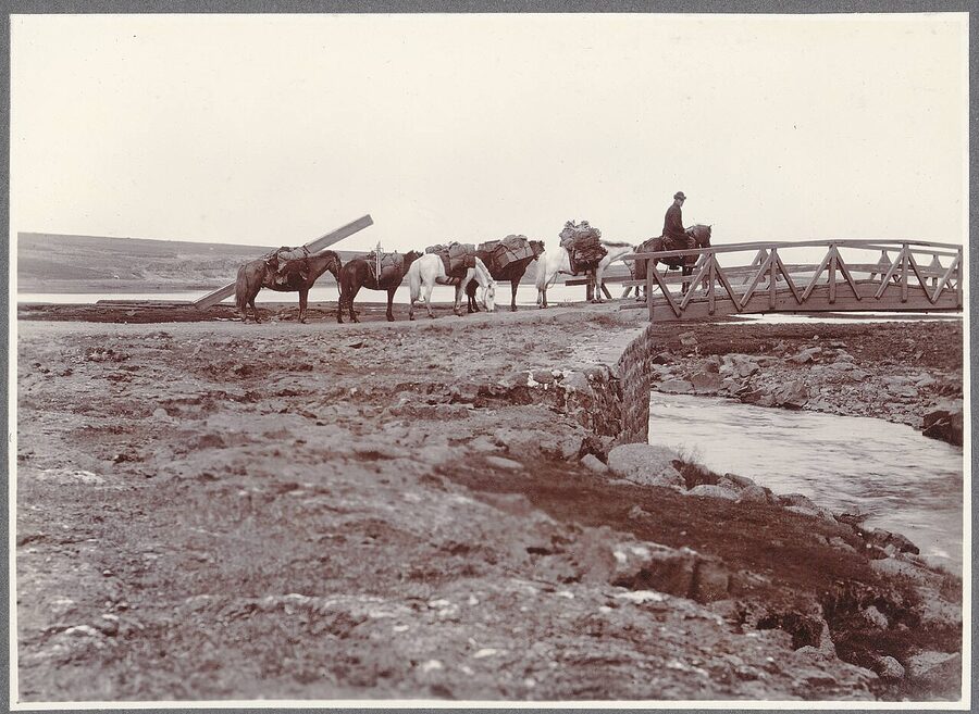 An Icelandic pack train of horses, the traditional mode of inland transport