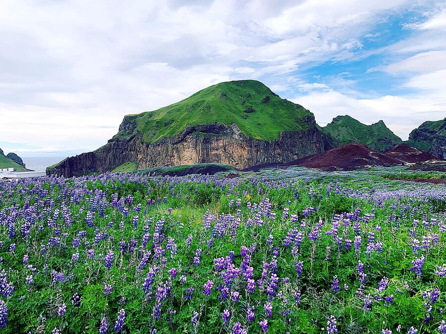Heimaklettur cliff above Heimaey harbour, Westman Islands