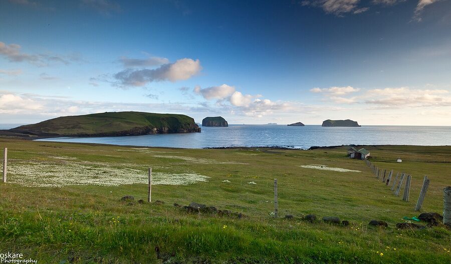 Puffin colony cliffs at Stórhöfði, Westman Islands