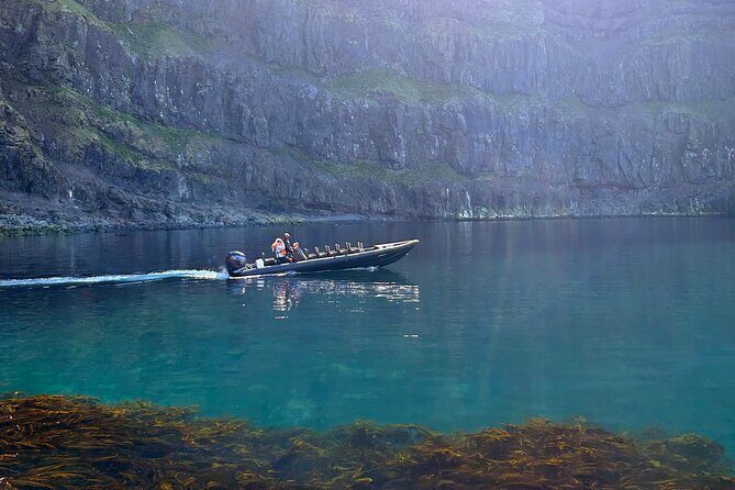 1 Hour Iceland Nature and Wildlife RIB Small Group Guided Safari - Key points at a glance