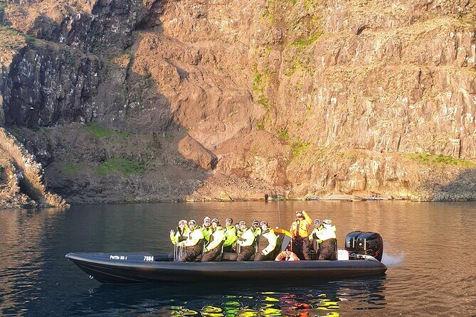 1 Hour Iceland Nature and Wildlife RIB Small Group Guided Safari - A 1-hour RIB safari from Bakkagerði that actually gets you close