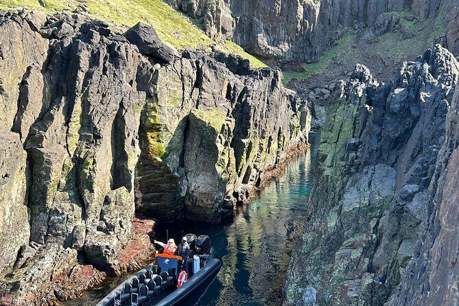 1 Hour Iceland Nature and Wildlife RIB Small Group Guided Safari - What the RIB ride changes: faster, closer, and more active