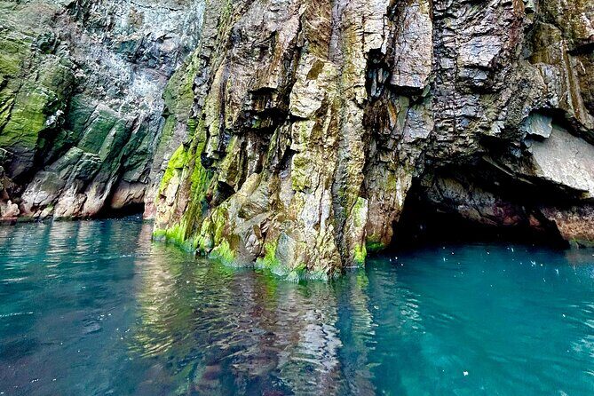 1 Hour Iceland Nature and Wildlife RIB Small Group Guided Safari - Cliffs and raw coast: how the scenery supports the animal spotting