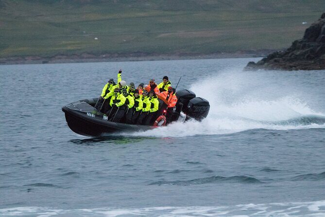 1 Hour Iceland Nature and Wildlife RIB Small Group Guided Safari - What to wear: warm gear is included, but you still need common sense