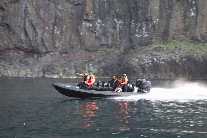 1 Hour Iceland Nature and Wildlife RIB Small Group Guided Safari - Price and value: is $160 worth it?