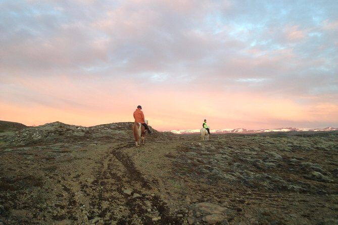 1+ hour Private Horse riding tour from Reykjavík/Mosfellsbær - What you learn on horseback: Icelandic horse culture in plain terms
