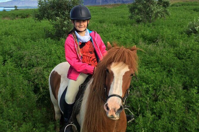 1+ hour Private Horse riding tour from Reykjavík/Mosfellsbær - Light refreshments after: the kind of finish that keeps your day flowing